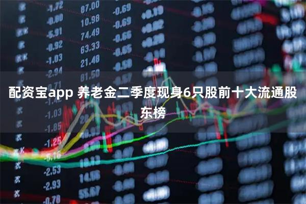 配资宝app 养老金二季度现身6只股前十大流通股东榜