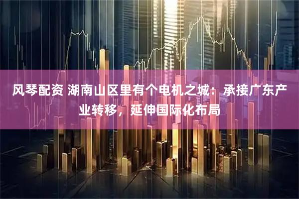 风琴配资 湖南山区里有个电机之城：承接广东产业转移，延伸国际化布局